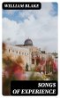 Songs of Experience (eBook, ePUB) - Bild 1