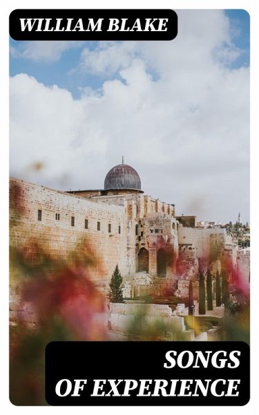 Songs of Experience (eBook, ePUB) Songs of Experience (eBook, ePUB)