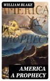 America A Prophecy (eBook, ePUB)