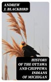 History of the Ottawa and Chippewa Indians of Michigan (eBook, ePUB)