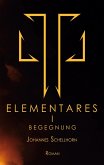 Elementares (eBook, ePUB)