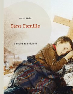 Sans Famille - Malot, Hector