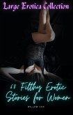 Large Erotica Collection (eBook, ePUB)