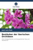 Bestäuber der iberischen Orchideen