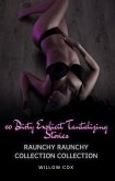 Raunchy Collection (eBook, ePUB)