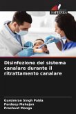 Disinfezione del sistema canalare durante il ritrattamento canalare