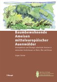 Baumbewohnende Ameisen mitteleuropäischer Auenwälder (eBook, PDF)