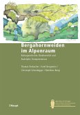 Bergahornweiden im Alpenraum (eBook, PDF)