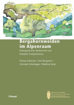 Bergahornweiden im Alpenraum (eBook, PDF) - Kiebacher, Thomas; Bergamini, Ariel; Scheidegger, Christoph; Bürgi, Matthias; Blaser, Stefan; Bollmann, Kurt; Keller, Christine; Senn-Irlet, Beatrice; Stofer, Silvia