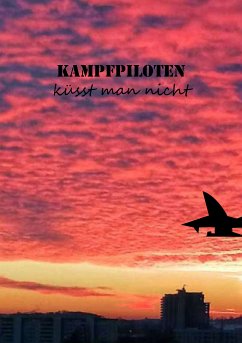 Kampfpiloten küsst man nicht (eBook, ePUB) - Stutz, Christine