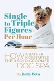 Single to Triple Figures Per Hour (eBook, ePUB)