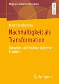 Nachhaltigkeit als Transformation (eBook, PDF)