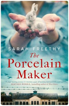 The Porcelain Maker - Freethy, Sarah