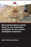 Décontamination pilote dans le cas d'entrées multiples et de sorties multiples massives