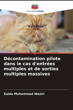 Décontamination pilote dans le cas d'entrées multiples et de sorties multiples massives - Muhammad Waziri, Saidu