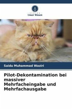 Pilot-Dekontamination bei massiver Mehrfacheingabe und Mehrfachausgabe - Muhammad Waziri, Saidu