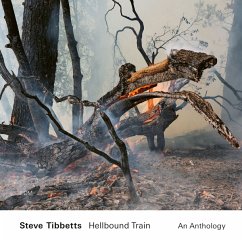 Hellbound Train - Tibbetts,Steve