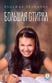 Большая стирка (eBook, ePUB)