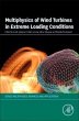 Multiphysics of Wind Turbines in... - Bild 1