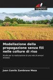 Modellazione della propagazione senza fili nelle colture di riso