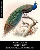 Vintage Art Vintage Art