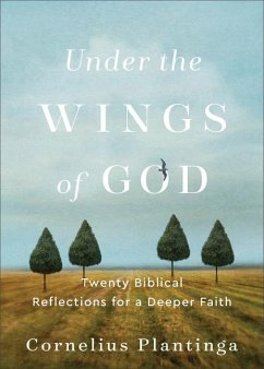 Under the Wings of God - Twenty Biblical Reflections for a Deeper Faith - Plantinga, Cornelius