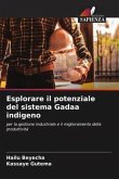 Esplorare il potenziale del sistema Gadaa indigeno