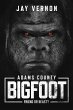 Adams County Bigfoot - Bild 1