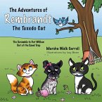 The Adventures of Rembrandt the Tuxedo Cat: The Scramble to Get Willow Out of the Sand