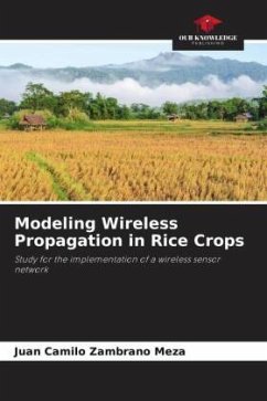 Modeling Wireless Propagation in Rice Crops - Zambrano Meza, Juan Camilo