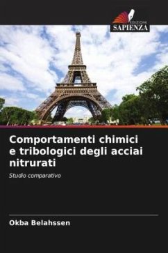 Comportamenti chimici e tribologici degli acciai nitrurati - Belahssen, Okba