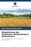 Modellierung der drahtlosen Ausbreitung in Reiskulturen