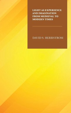 Light as Experience and Imagination from Medieval to Modern Times - Herrstrom, David S.