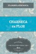 Charneca em flor - Bild 1