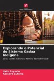 Explorando o Potencial do Sistema Gadaa Indígena