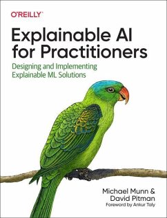 Explainable AI for Practitioners - Munn, Michael; Pitman, David