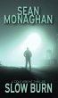 Slow Burn (Cole Wright, #4) (eBook,... - Bild 1