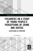 Fieldnotes on a Study of Young People's Perceptions of Crime and Justice (eBook, ePUB)