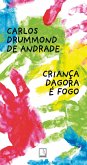 Criança d'agora é fogo (eBook, ePUB)