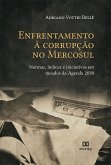 Enfrentamento à corrupção no Mercosul (eBook, ePUB)
