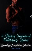 Raunchy Compilation (eBook, ePUB)