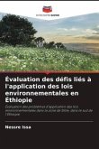 Évaluation des défis liés à l'application des lois environnementales en Éthiopie