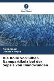 Die Rolle von Silber-Nanopartikeln bei der Sepsis von Brandwunden