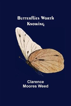 Butterflies Worth Knowing - Moores Weed, Clarence