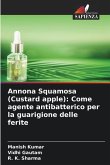 Annona Squamosa (Custard apple): Come agente antibatterico per la guarigione delle ferite