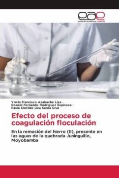 Efecto del proceso de coagulación floculación - Azabache Liza, Yrwin Francisco;Rodriguez Espinoza, Ronald Fernando;Santa Cruz, Paula Clotilde Liza