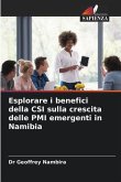 Esplorare i benefici della CSI sulla crescita delle PMI emergenti in Namibia