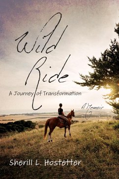 Wild Ride (eBook, ePUB) - Hostetter, Sherill L.