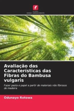 Avaliação das Características das Fibras do Bambusa vulgaris - Rotowa, Odunayo