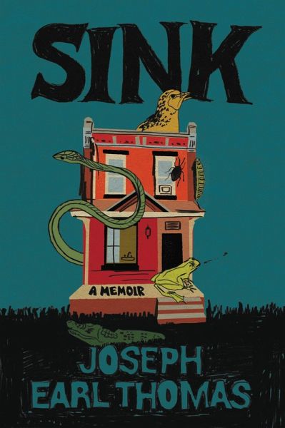 Sink (eBook, ePUB)